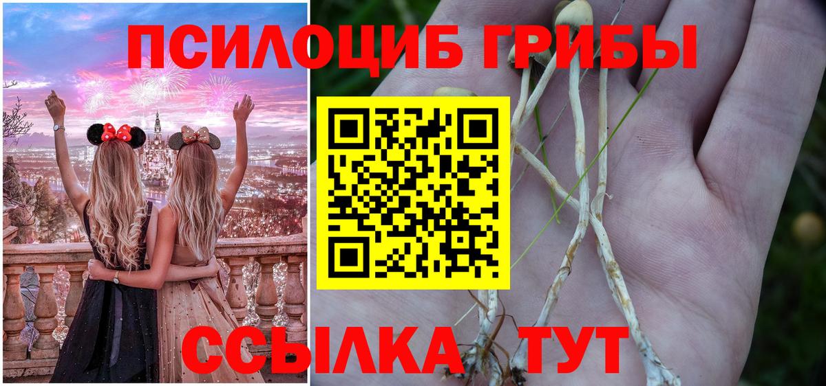 Псилоцибиновые грибы Psilocybine cubensis Коммунар