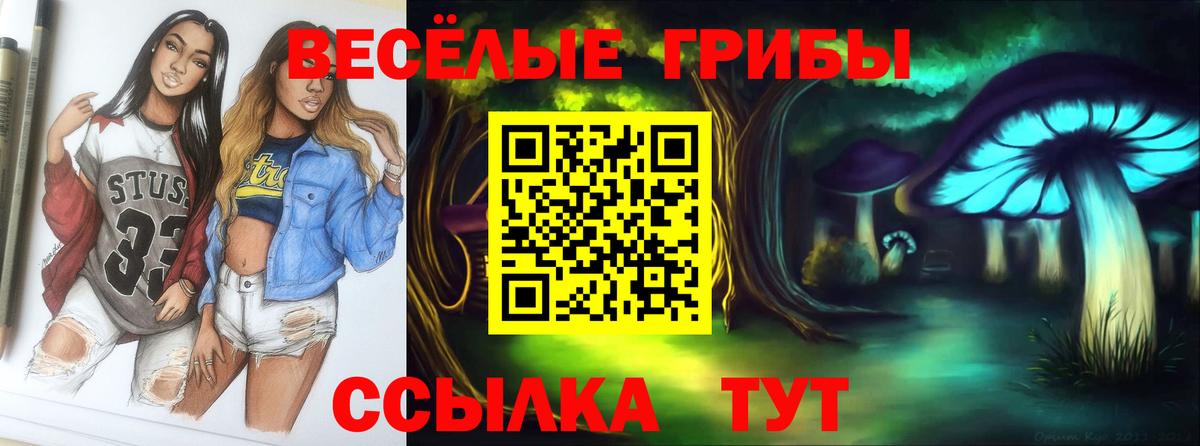 Псилоцибиновые грибы Cubensis  цена   Коммунар  Вход с VPN  Псилоцибиновые грибы ЛСД 